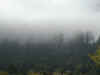 coastal_fog.jpg (60576 bytes)