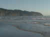 coastal_tilamk2.jpg (56576 bytes)