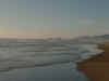 coastal_tilamk.jpg (54128 bytes)