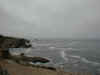 shore-gardens-cliffs.jpg (53780 bytes)