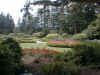 shore-gardens1.jpg (66388 bytes)