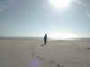 Beachside-Bonnie2.jpg (461908 bytes)