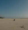 Beachside.jpg (495670 bytes)