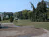 elms2.jpg (63554 bytes)