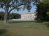 elms4.jpg (64204 bytes)